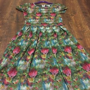 LulaRoe Amelia dress, M